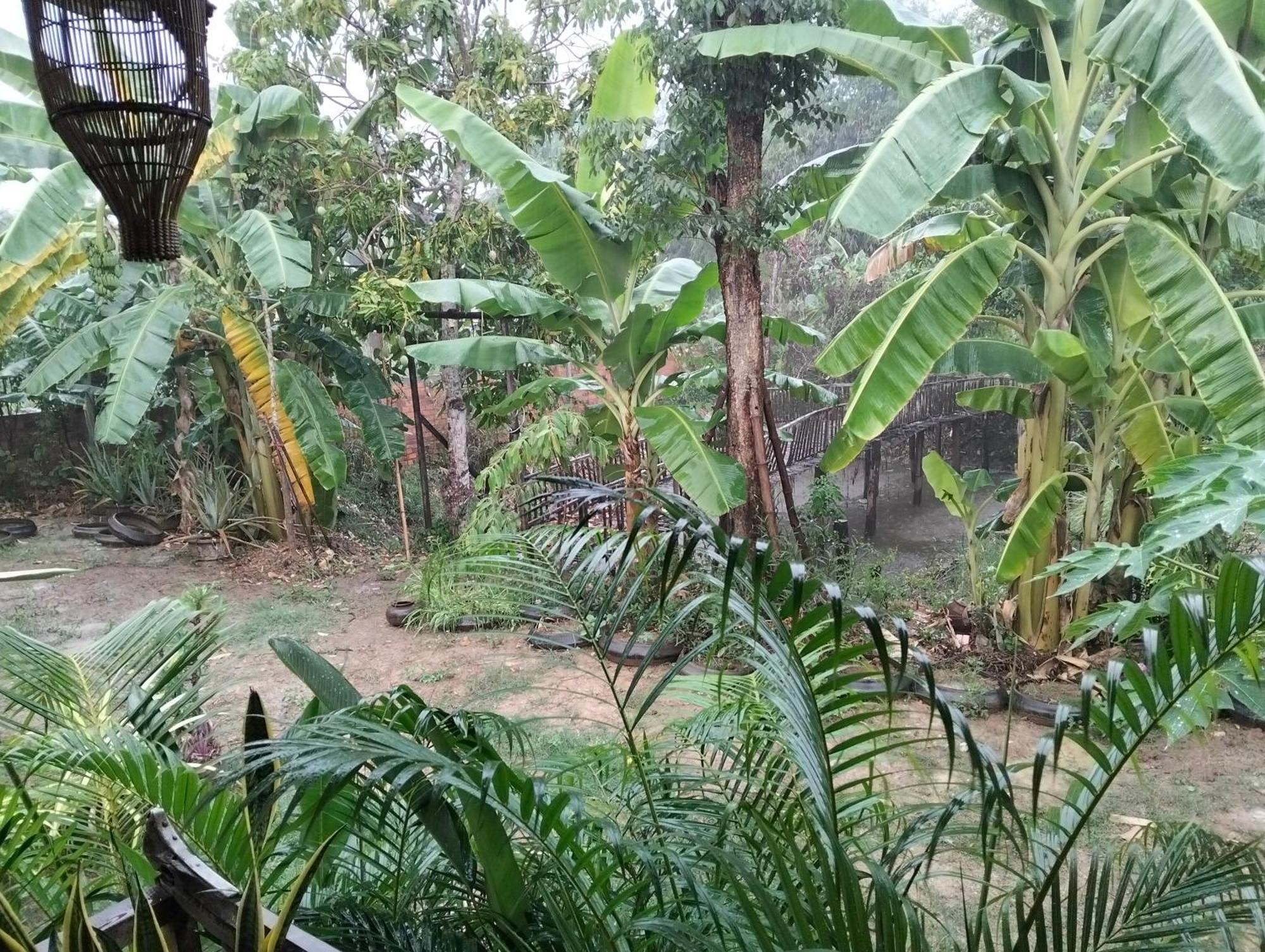 Odambang Village Homestay Батамбанг Екстериор снимка